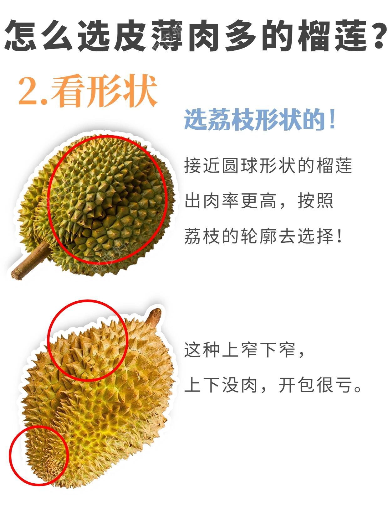荔枝榴蓮價(jià)格跳水近30%