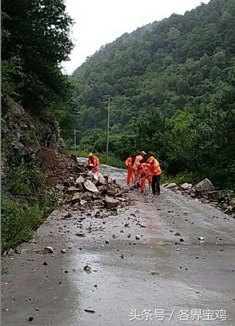 追逐陽光  