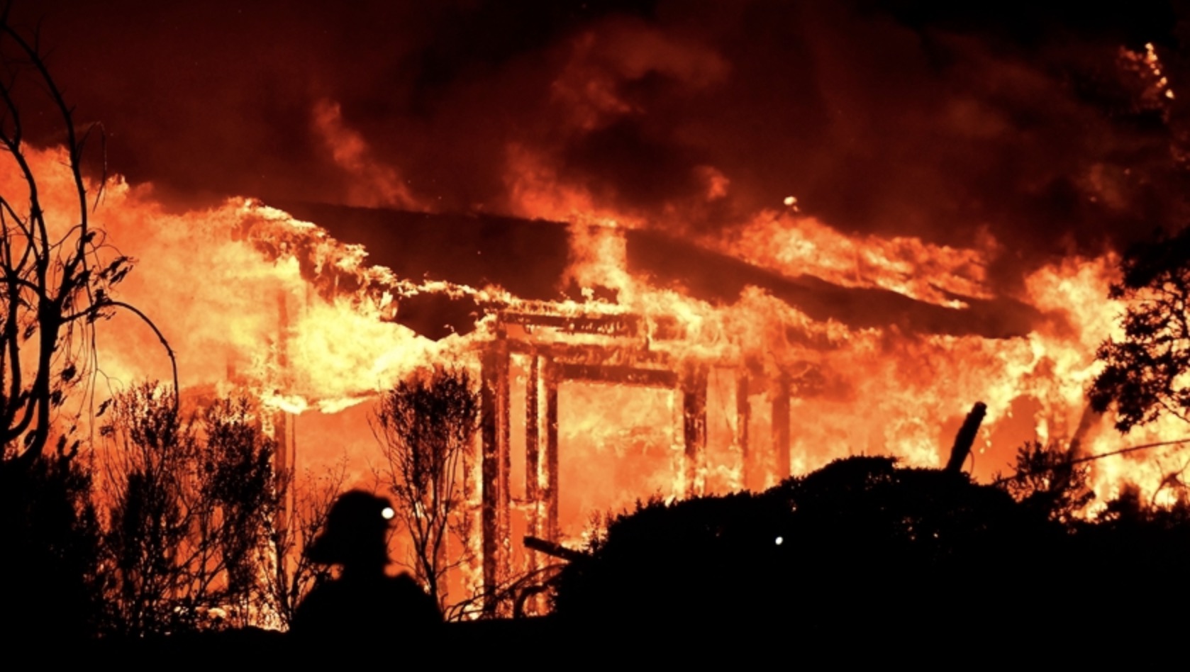 美國加州50多只鳥空中突然爆炸