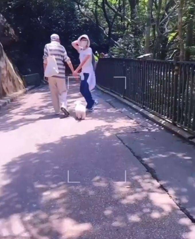 爸爸出門(mén)遛狗 女兒揮手告別被無(wú)視