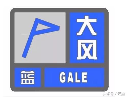 陣風八九級！實拍北京大風：樹木搖晃