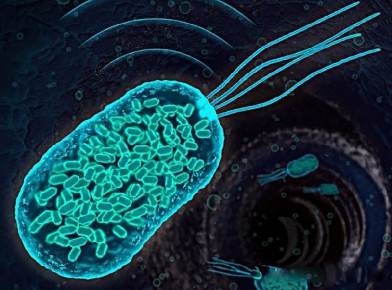 中國空間站發現微生物新物種