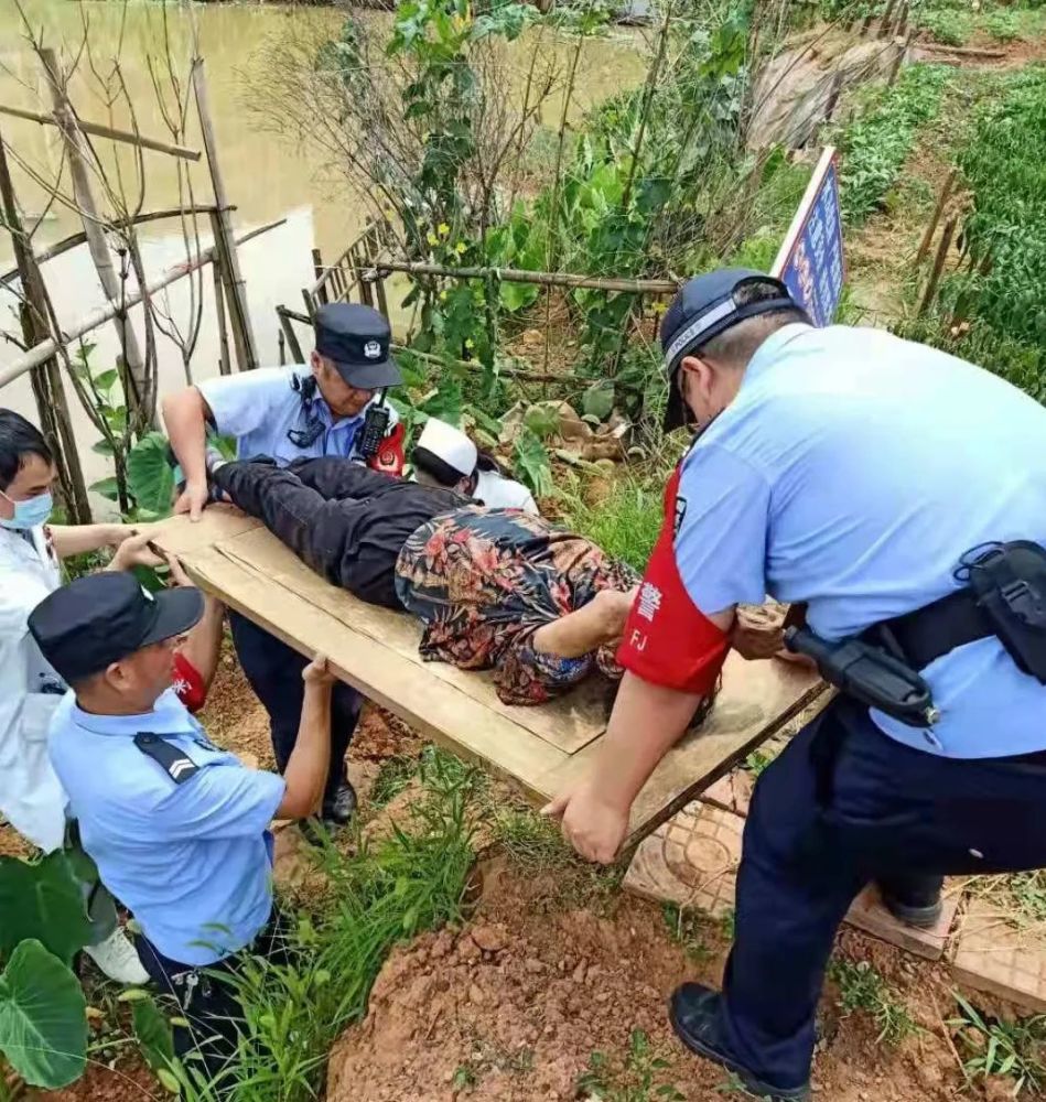 老人摘枇杷落水身亡