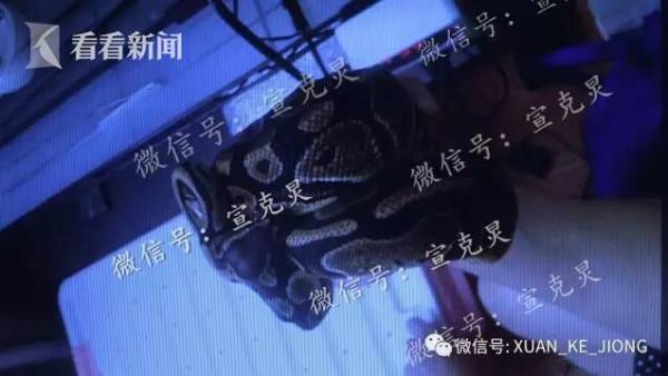 妻子3個月16次網購毒物預備殺夫