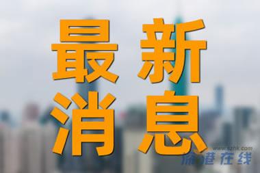 女生520收一屋子花 準備晚上擺攤