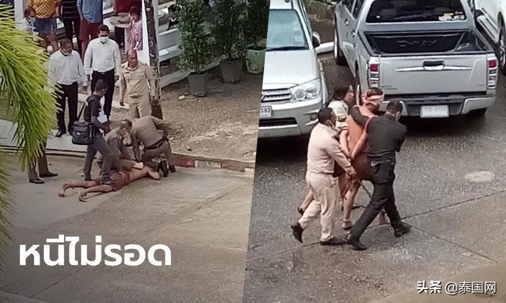 泰國貓咪襲警被捕超萌入獄照走紅