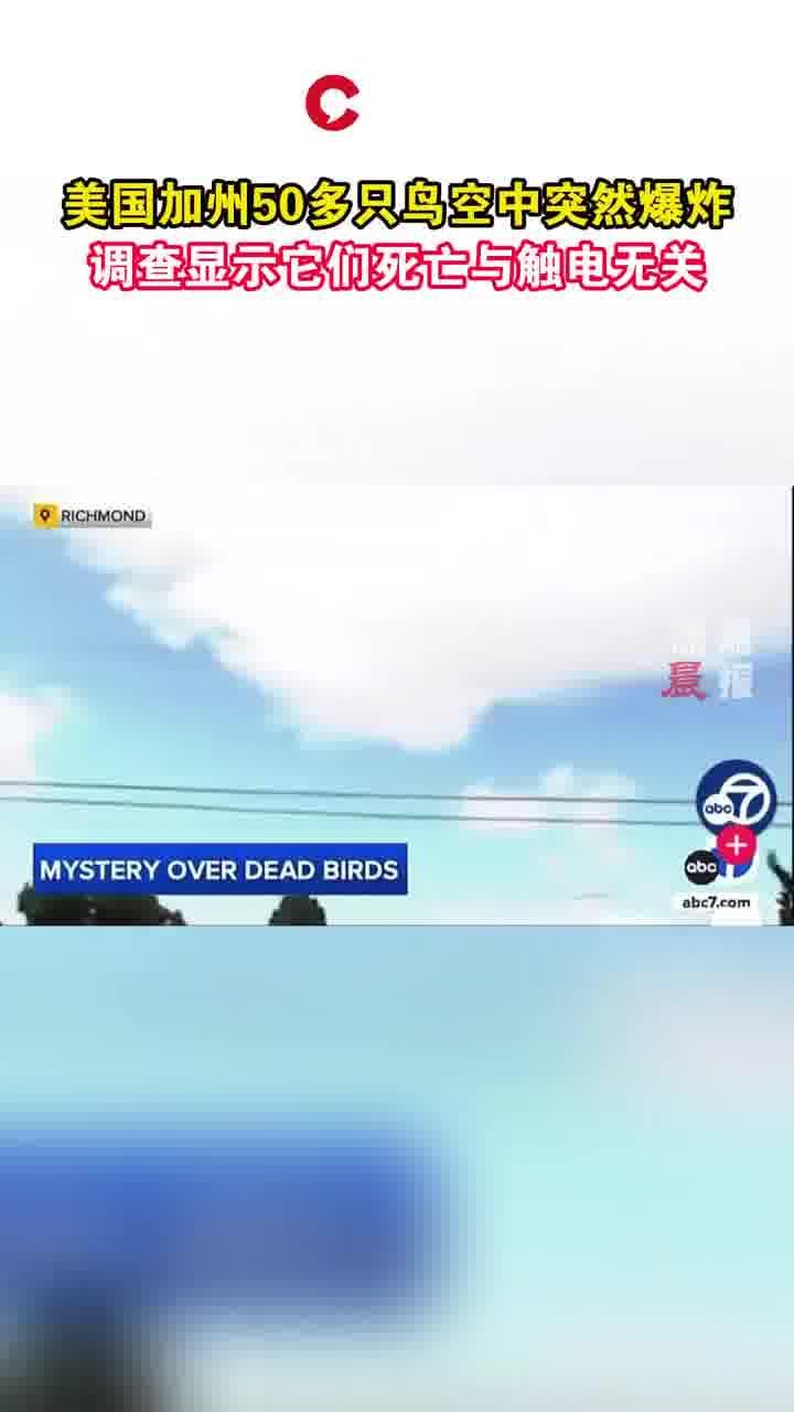 女子墜樓向丈夫喊我還沒死快打120