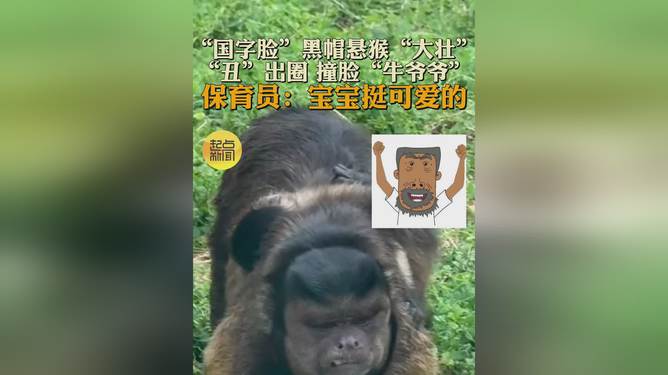 國字臉猴子大壯去世