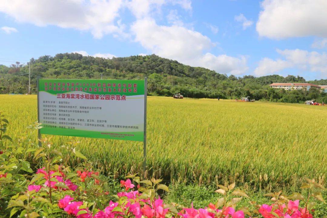天價(jià)耳環(huán)事件真是公眾集體仇富嗎