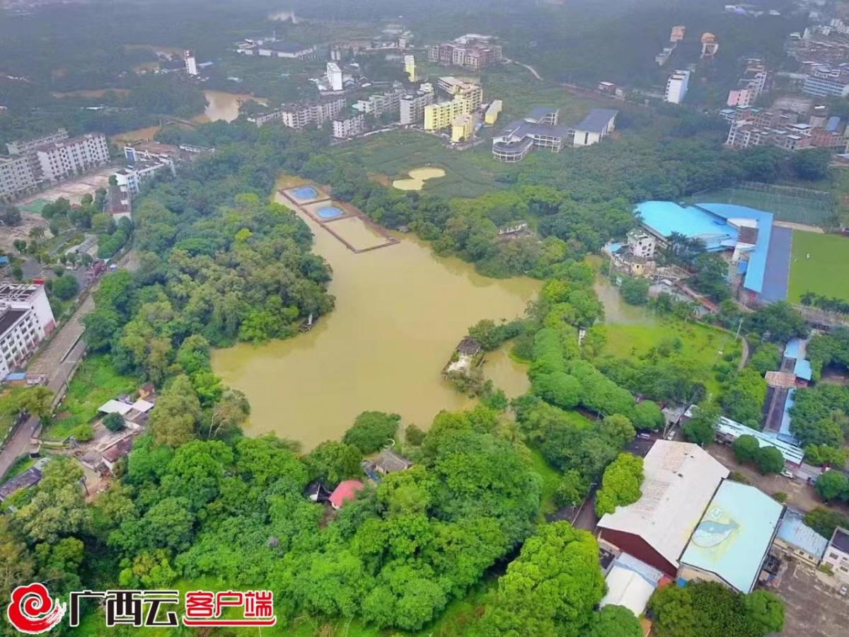 特大暴雨真的從兩廣轉移到湖南湖北了嗎？最新動態解析！