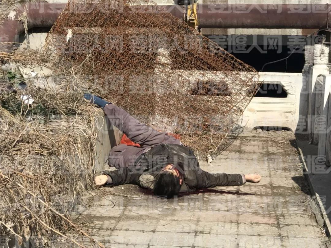 震驚！火車頂驚現流血男尸，背后真相令人毛骨悚然！