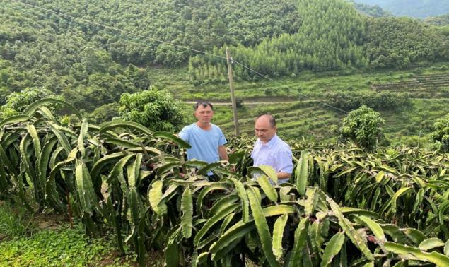 金融“活水”如何精準(zhǔn)澆灌小微企業(yè)？破解融資難題的5大關(guān)鍵策略！