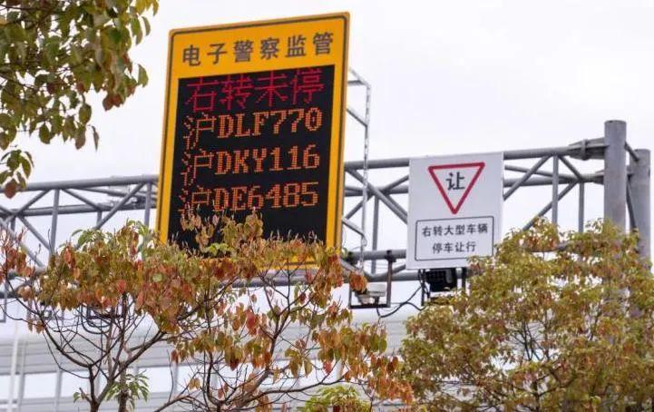 震驚！哈佛禁令不到一天就被叫停意味著啥？背后真相令人深思！