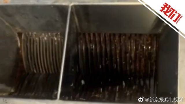 震驚！學校食堂絞肉機驚現活蛆，官方通報引熱議！