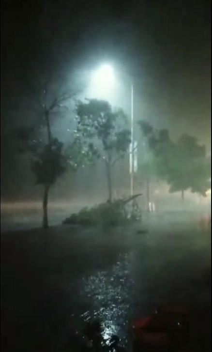 震驚！河南冰雹致小麥顆粒無(wú)收？假的！真相究竟如何？